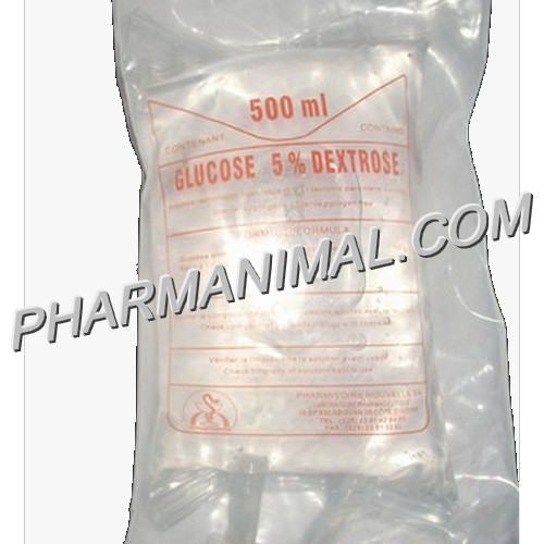 GLUCOSE 5%   FL/500 ml sol BUVABLE